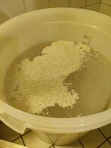 Siman valmistuksessa hiiva lisätään makeaan haaleaan puhtaaseen veteen puhtaassa astiassa.